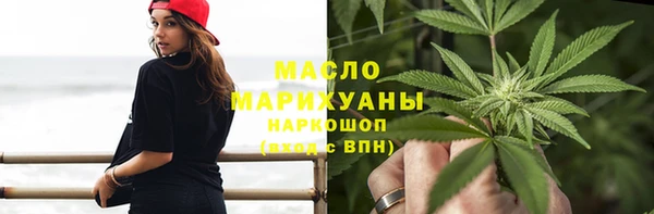 гидра Богородицк