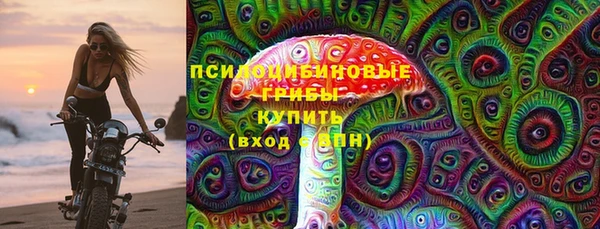 сатива Бугульма