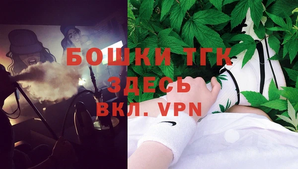 PSILOCYBIN Бородино