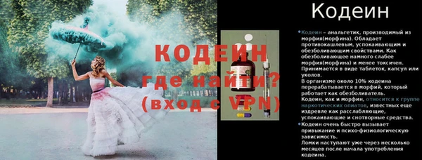 PSILOCYBIN Бородино