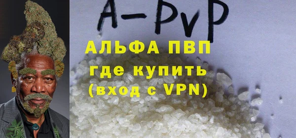 PSILOCYBIN Бородино