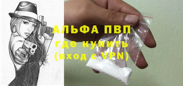 PSILOCYBIN Бородино