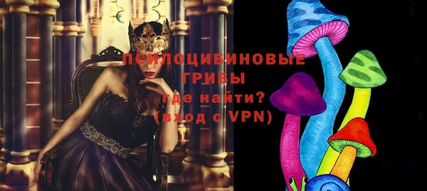 тгк Бронницы