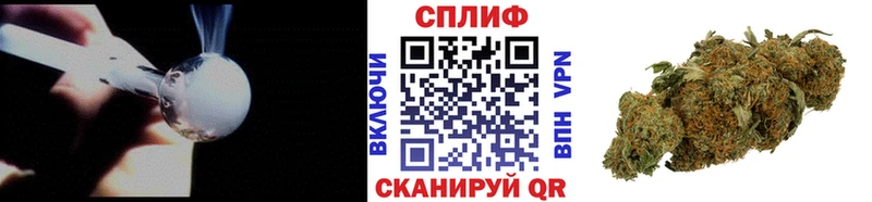 что такое   Эртиль  Бошки марихуана гибрид 
